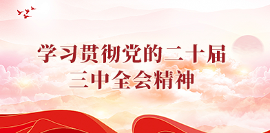 学习贯彻党的二十届三中全会精神