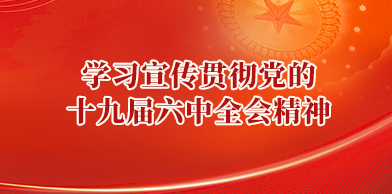 学习贯彻党的十九届六中全会精神