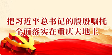 把习近平总书记的殷殷嘱托全面落实在重庆大地上
